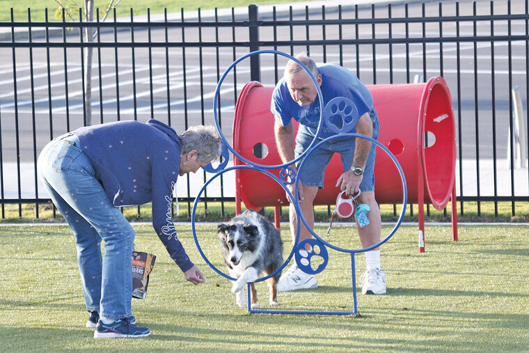 Derby Dog Park 2